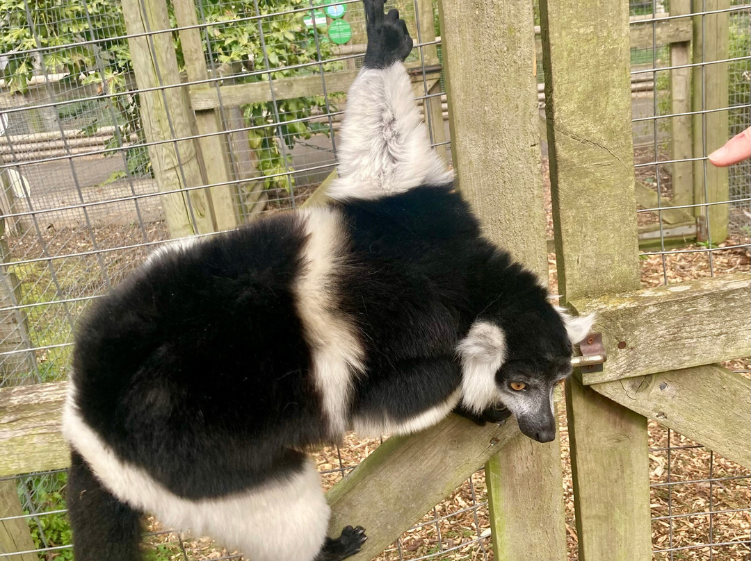 Northumberland College Zoo-Ponteland必去景点