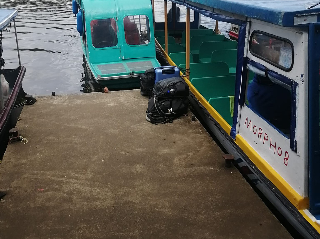 Tortuguero Tours-托图杰多必去景点