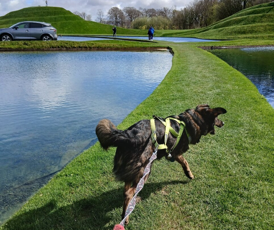 Jupiter Artland-爱丁堡必去景点
