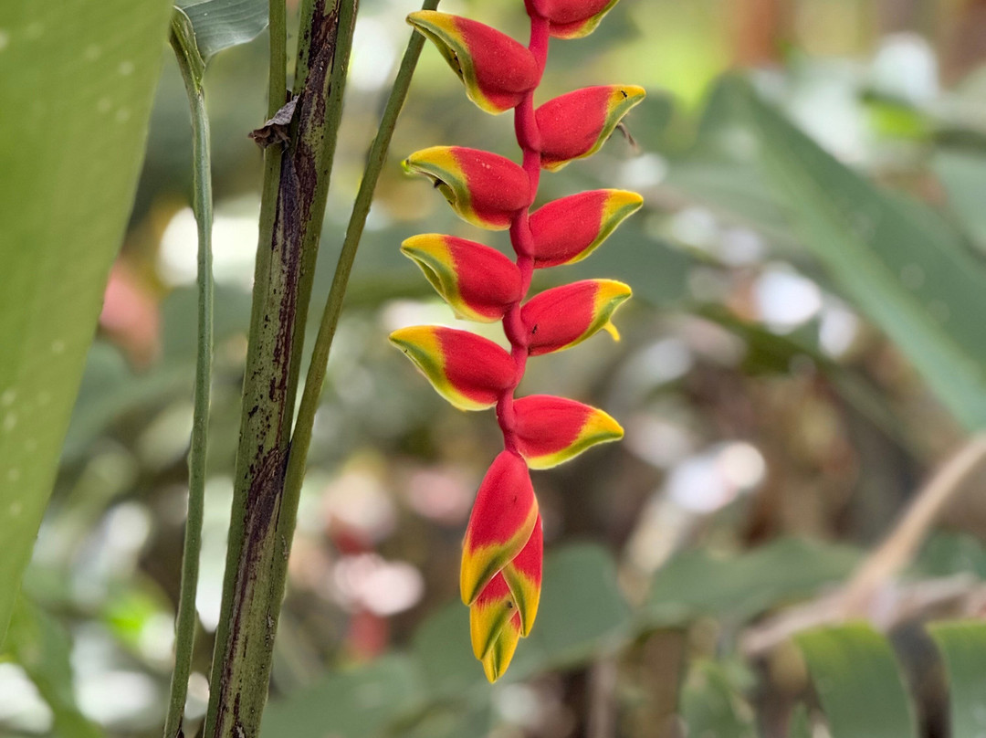 Prime Tours Costa Rica-利比里亚必去景点