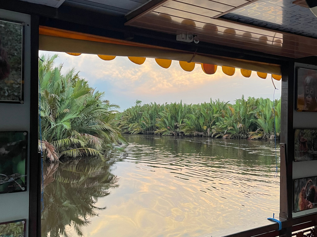 Orangutan Houseboat Tour-Kumai必去景点