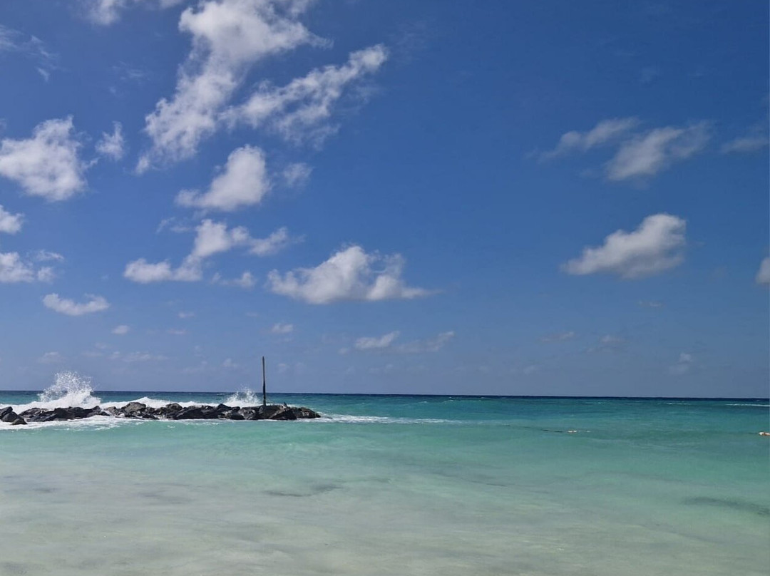 巴巴多斯三角梅酒店主图