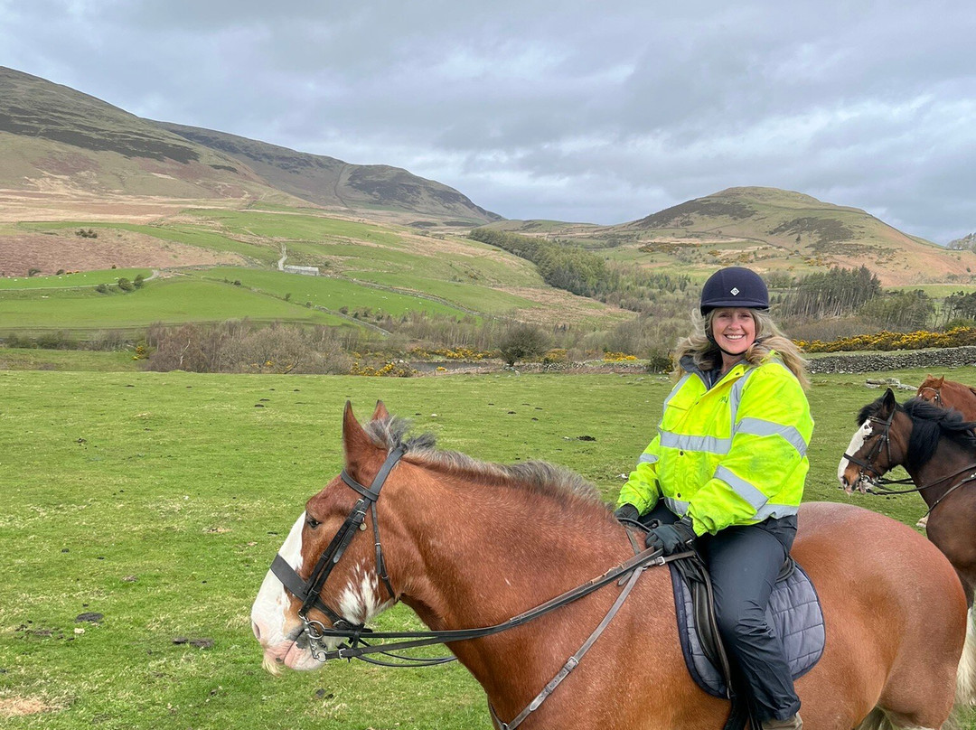 Cumbrian Heavy Horses-Millom必去景点