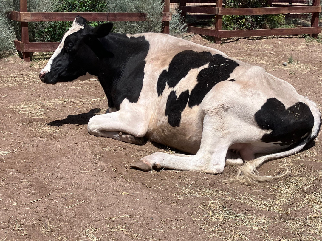 Farm Sanctuary-ACTON)必去景点