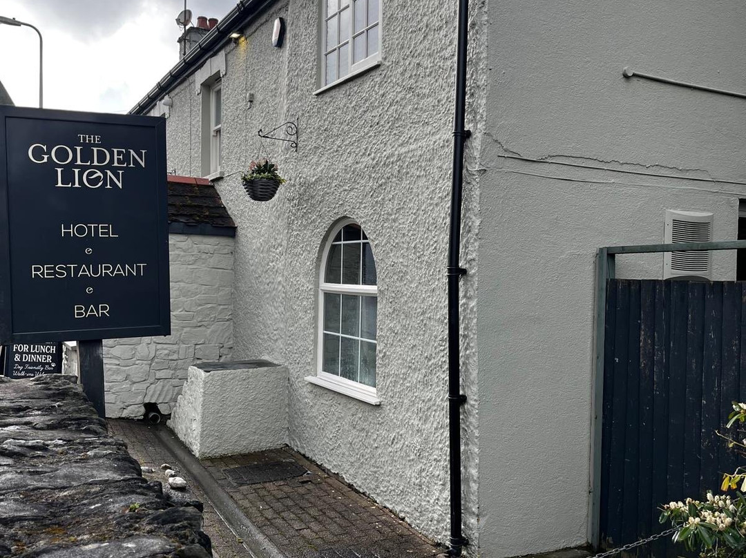 The Golden Lion, Newport, Pembrokeshire主图