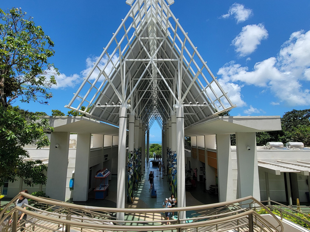 El Yunque National Forest-云盖国家森林公园必去景点