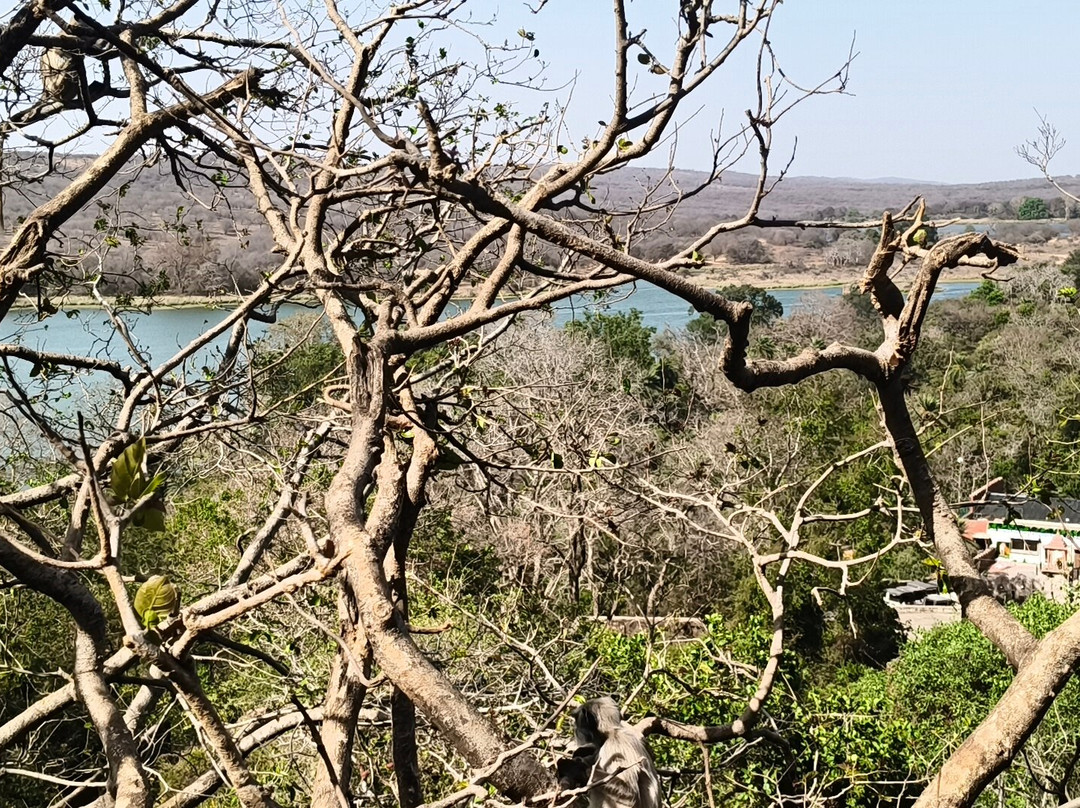 My Rajasthan Trip-斋蒲尔必去景点