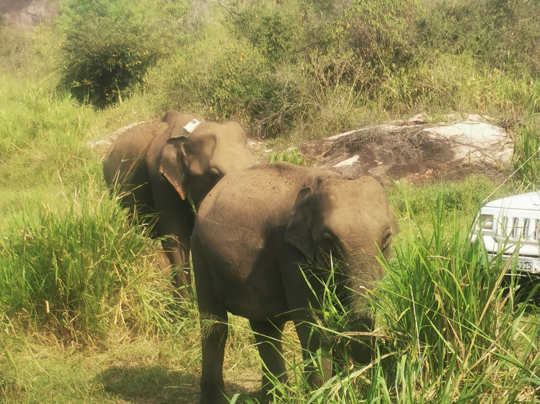 Trinco Lanka Travels-Trincomalee必去景点