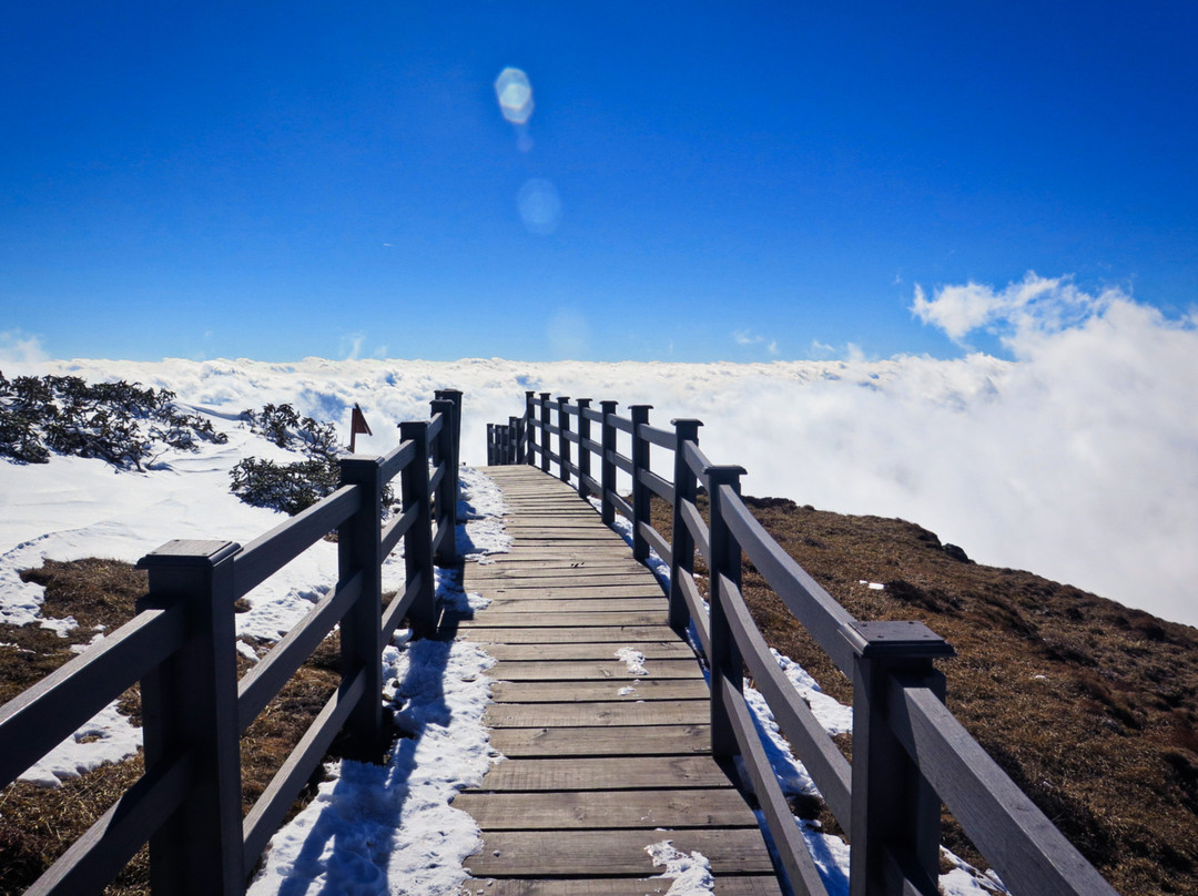 轿子雪山-禄劝彝族苗族自治县必去景点