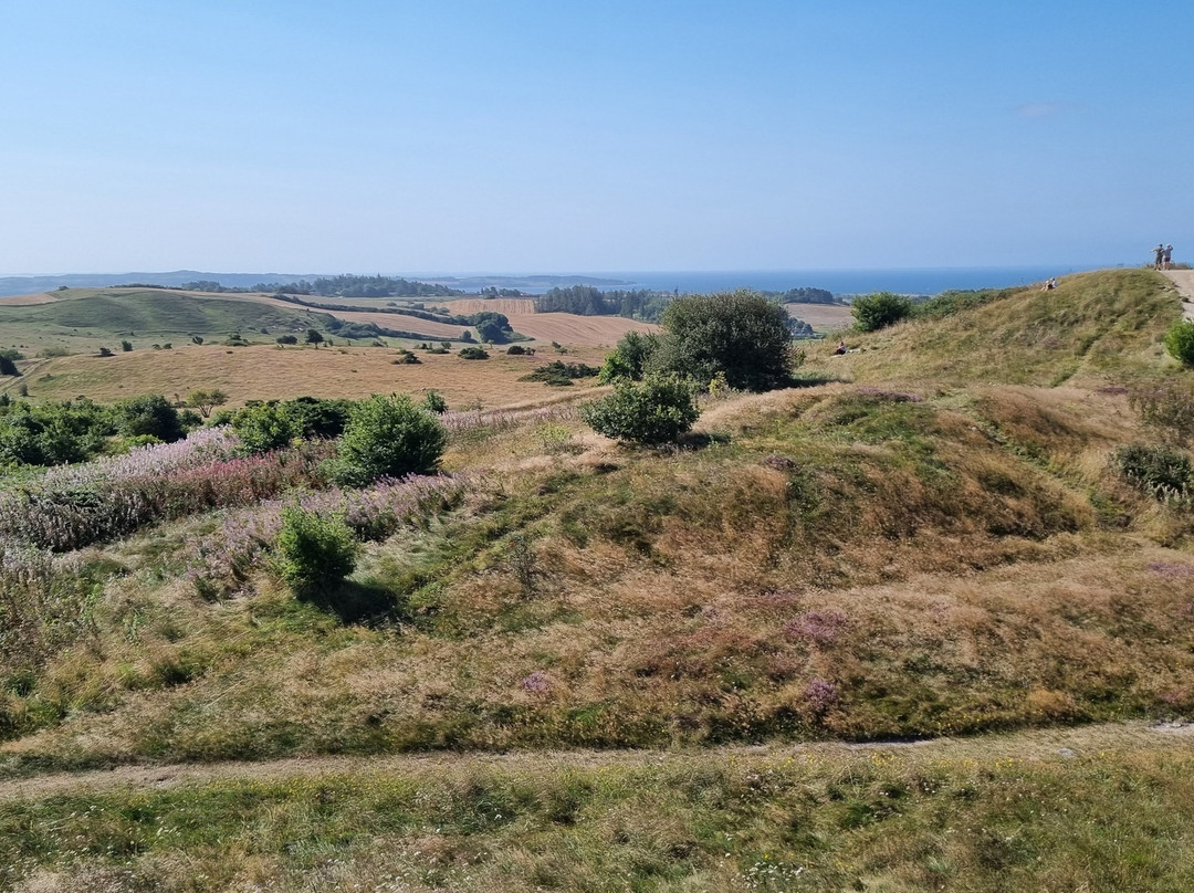 Nationalpark Mols Bjerge-Roende必去景点