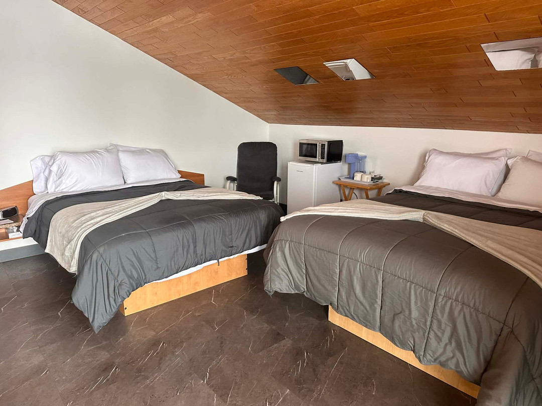 Saint-Thomas-Didyme酒店住宿-Hôtel Auberge St-félicien