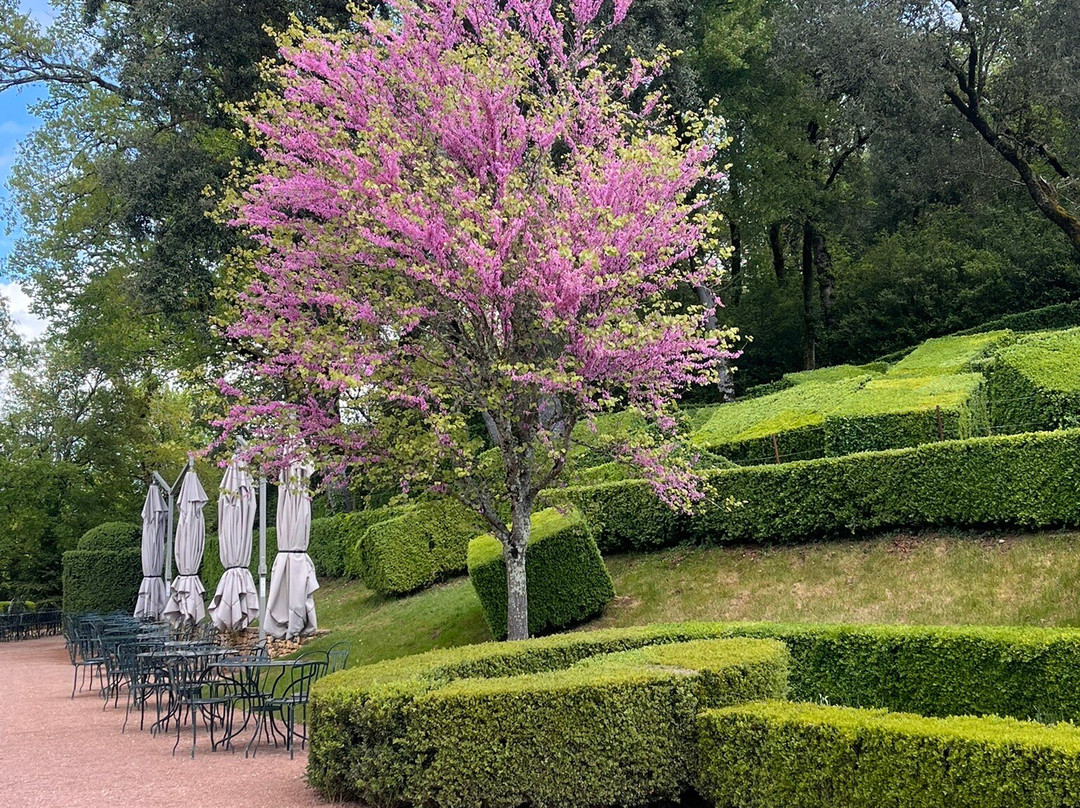 Les Jardins De Marqueyssac-Vezac必去景点