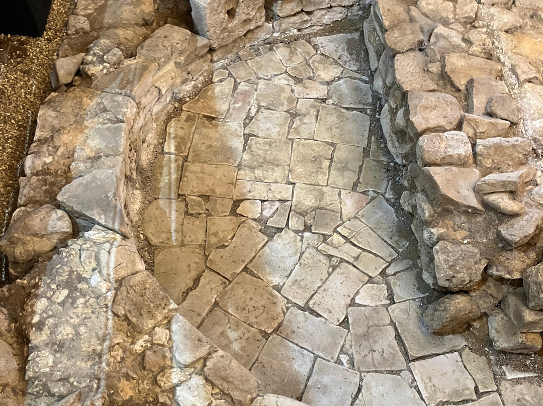 Brading Roman Villa-Brading必去景点