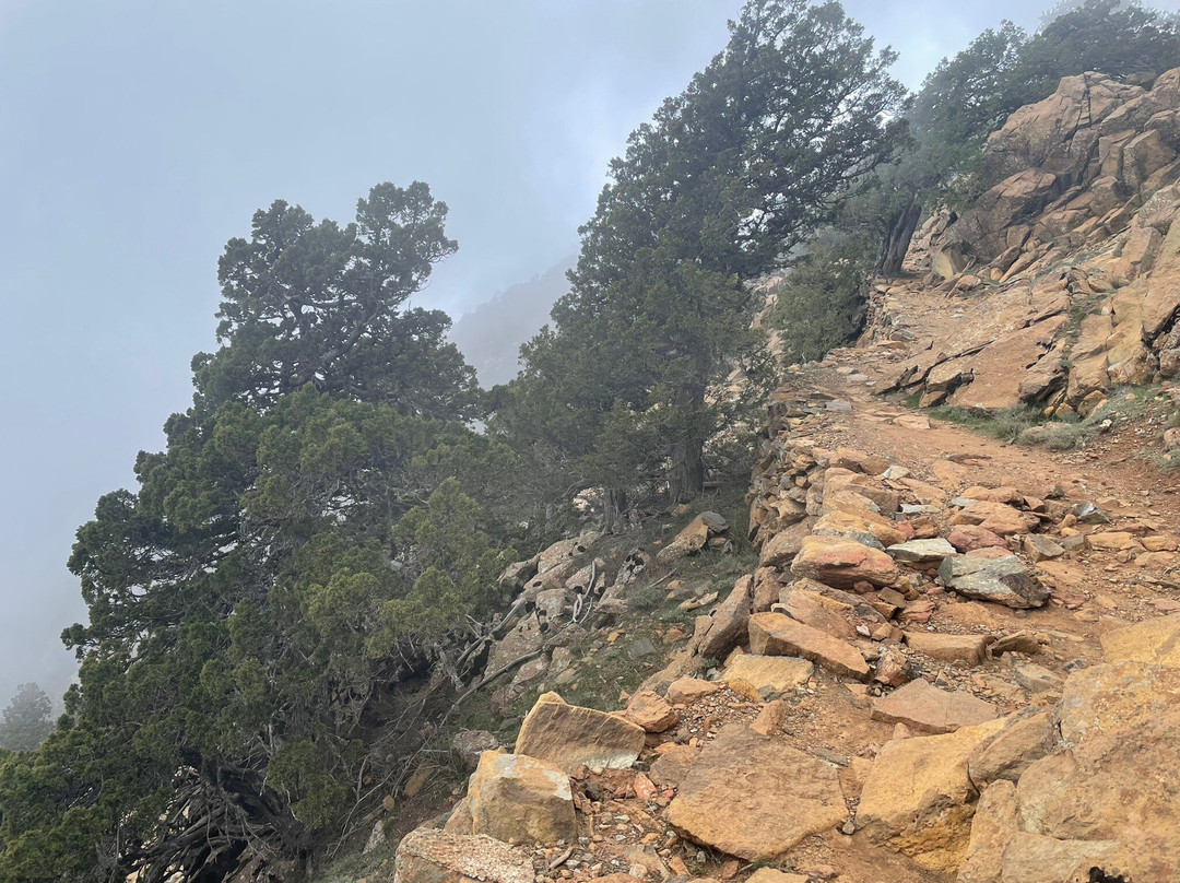 Artemis Nature Trail-特罗多斯必去景点