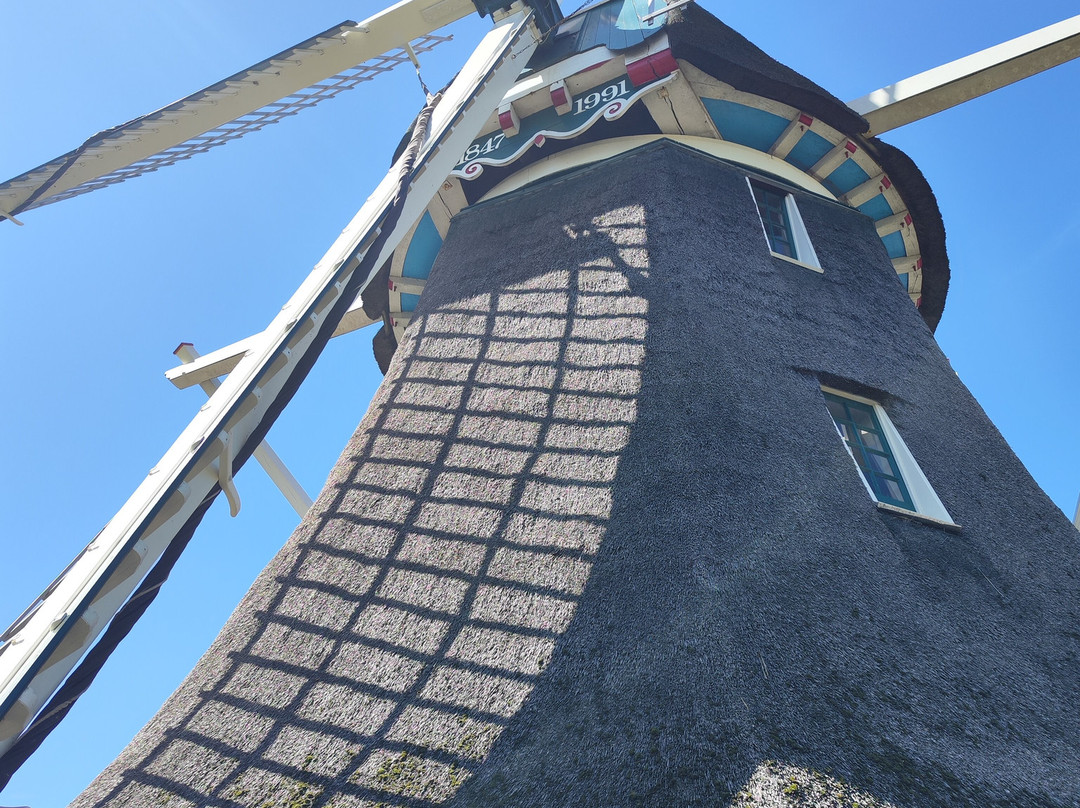 Molen Van Sloten-阿姆斯特丹必去景点