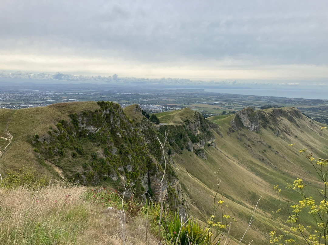 Te Mata Peak-黑斯廷斯必去景点
