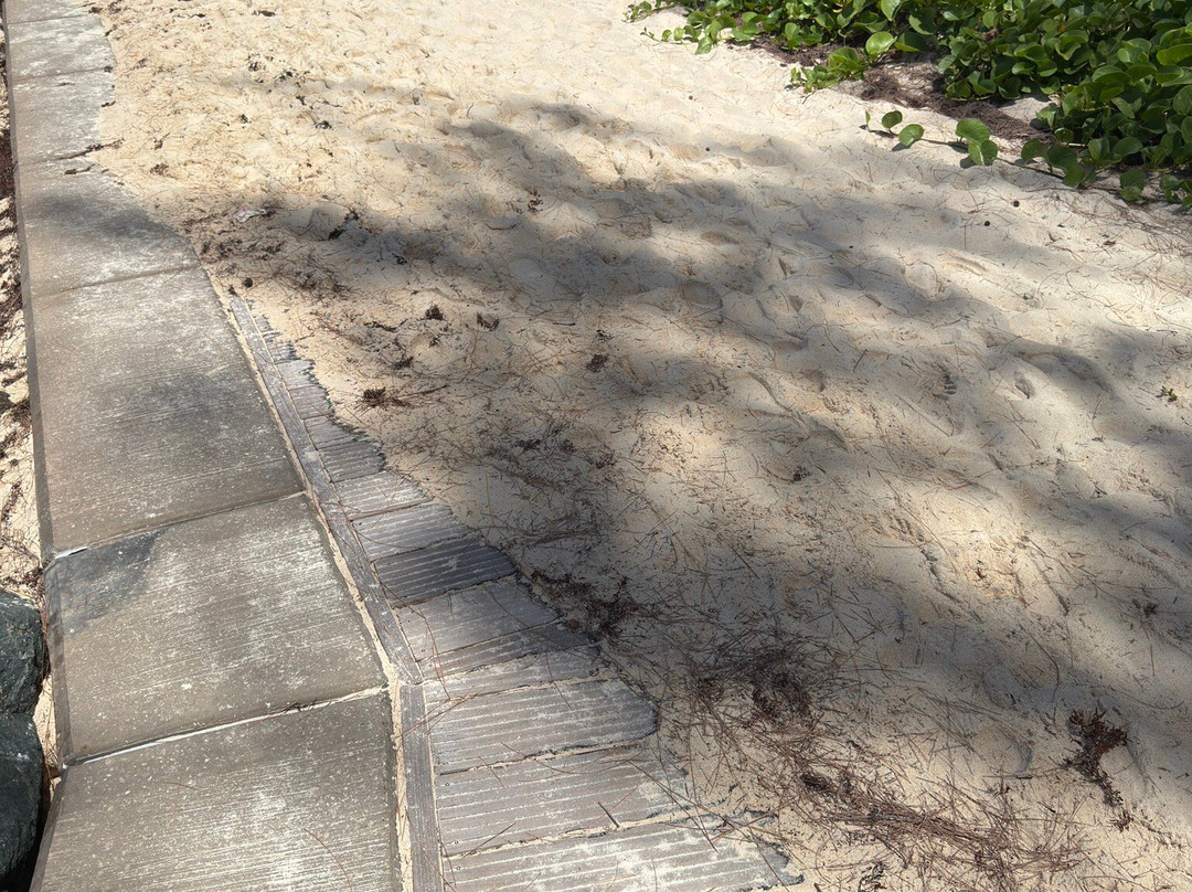 Richard Haynes Boardwalk-Hastings必去景点