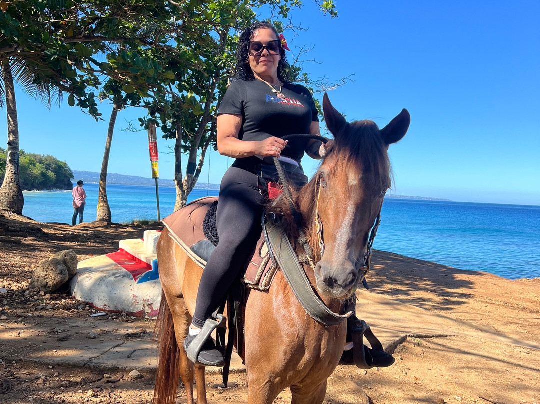 Playuelas Horse Rides-Aguadilla必去景点