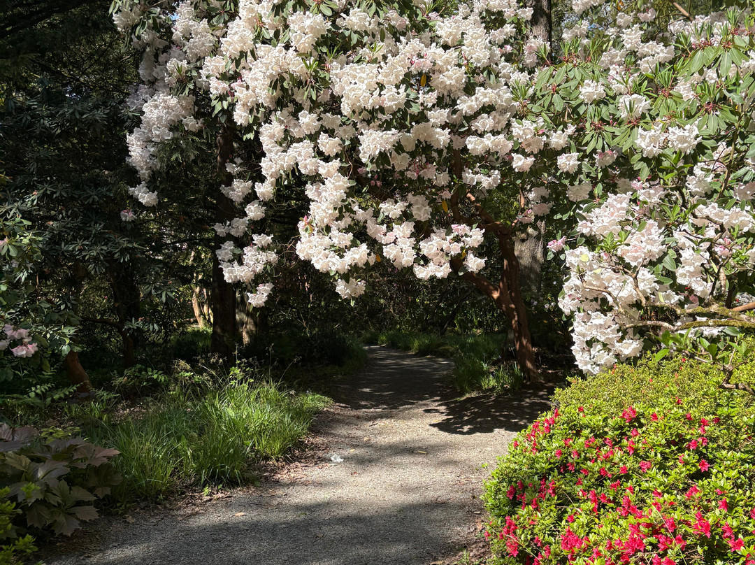 Bodnant Garden-Tal-y-Cafn必去景点