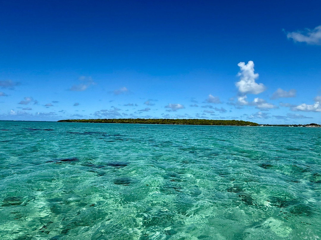 Calypso boat tours Mauritius-蓝湾必去景点