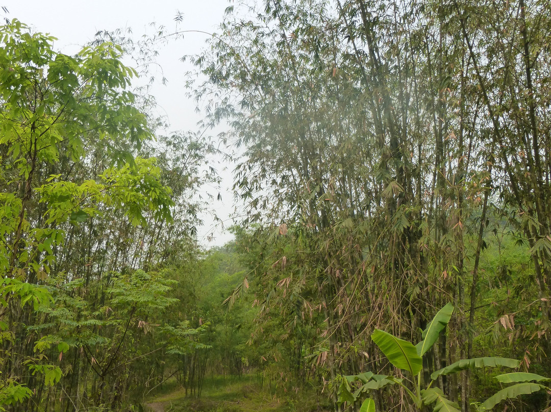 Pu Luong Eco Tours-河内必去景点