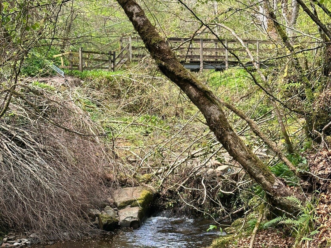 Big Burn Walk-Golspie必去景点