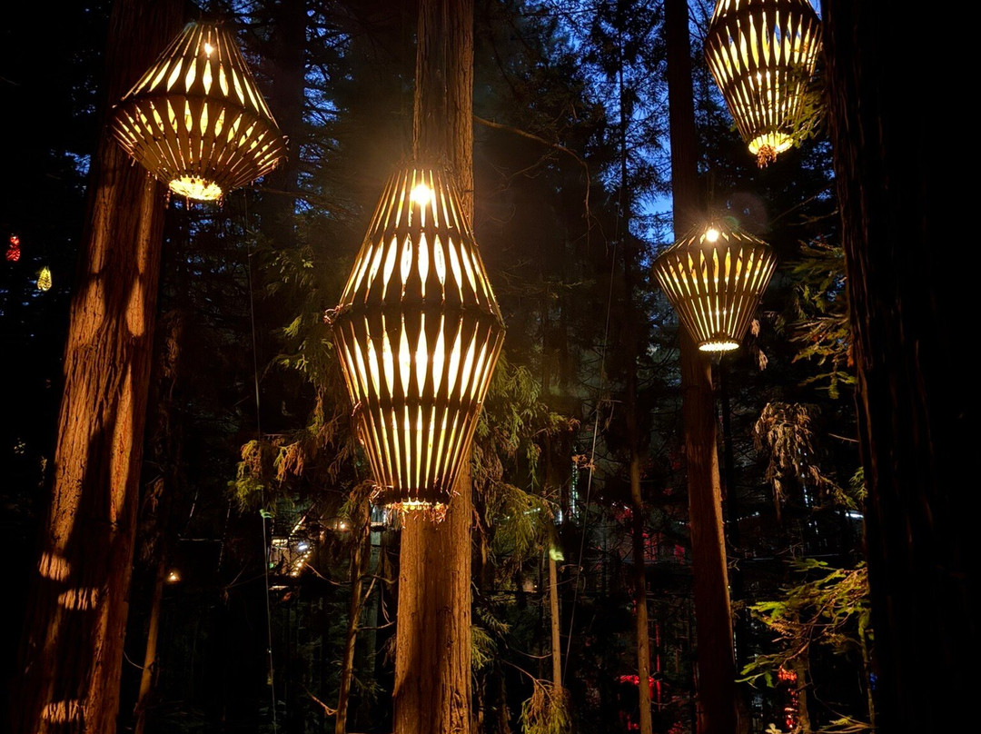 Redwoods Treewalk-罗托鲁瓦必去景点