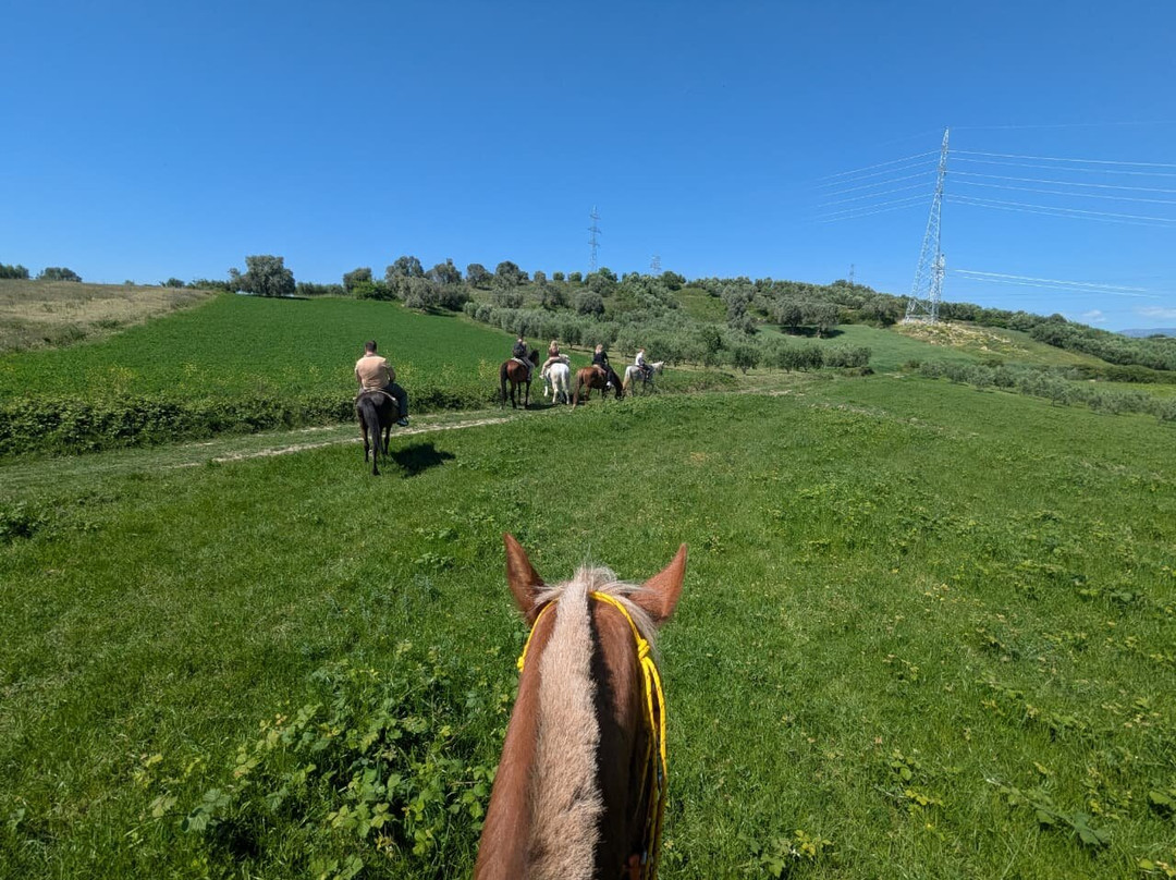 Horse Farm Santo-Elbasan必去景点