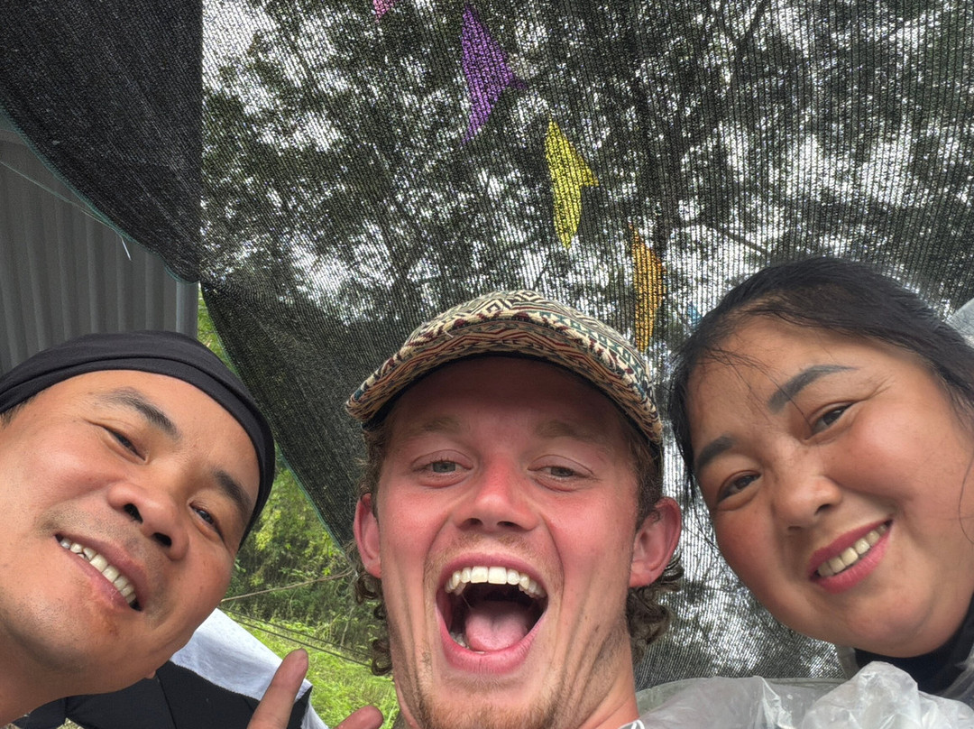 Ha Giang Loop Tour by Mama's Homestay-Dong Van必去景点