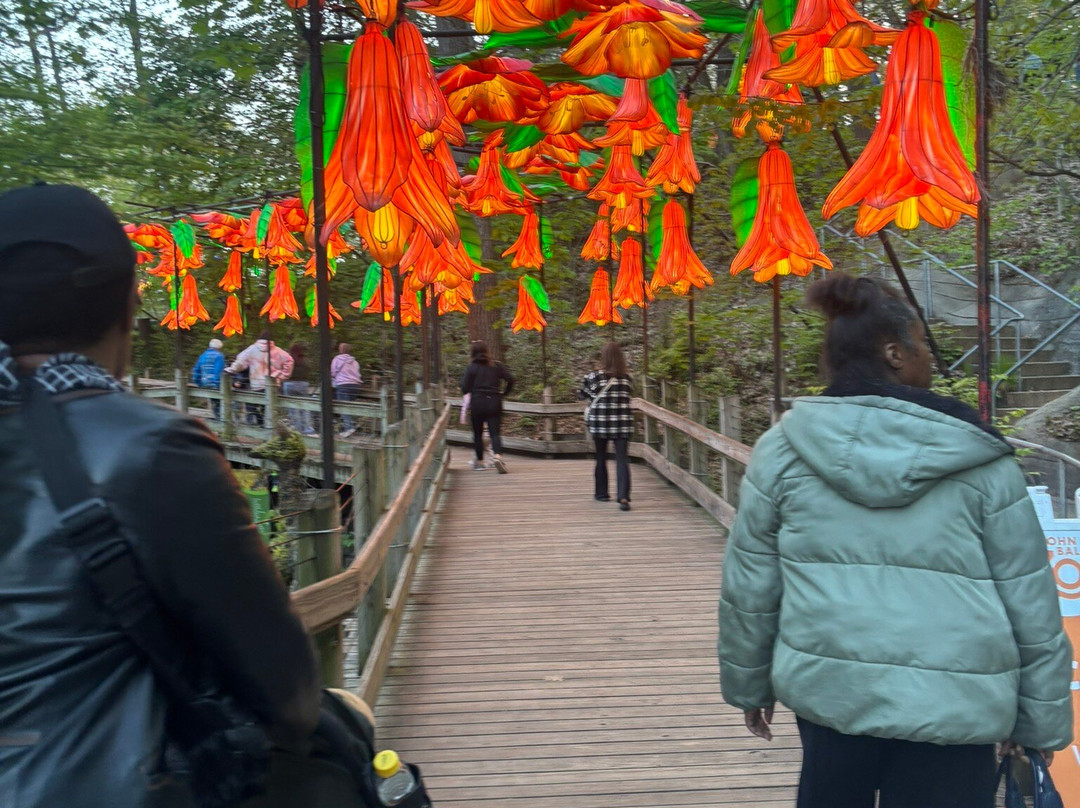 John Ball Zoo-大急流市必去景点
