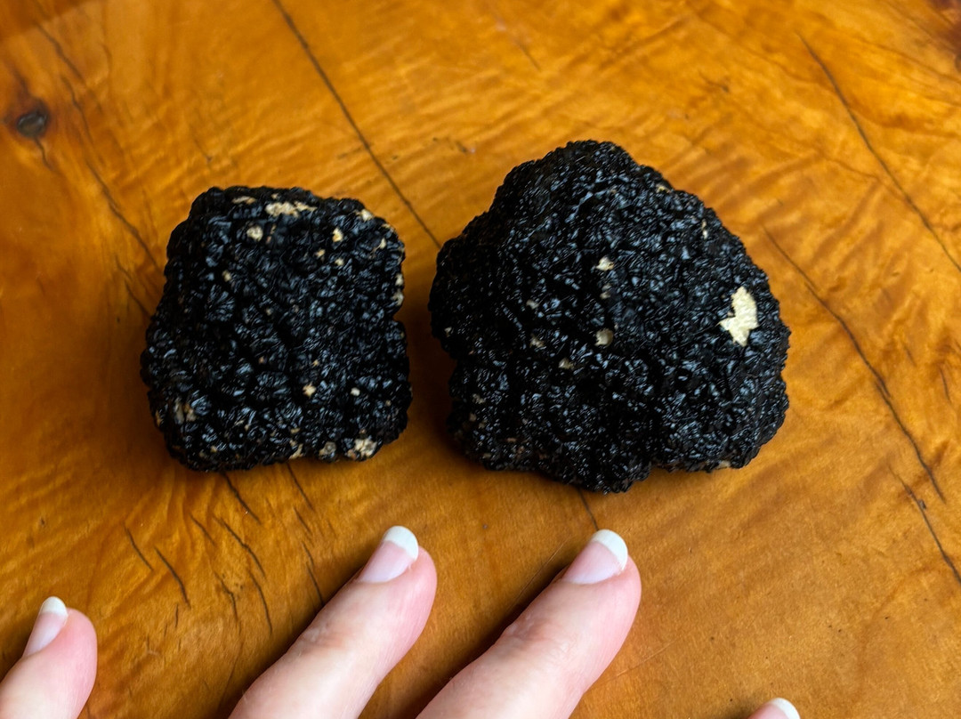 The Truffle Farm Tasmania-德洛兰恩必去景点