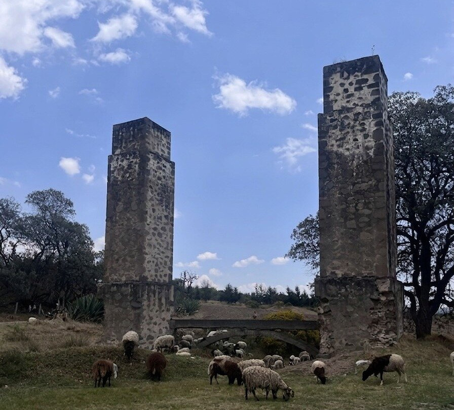 Calpulalpan Municipality旅游景点-Santuario de las Luciérnagas - Bosque Mágico