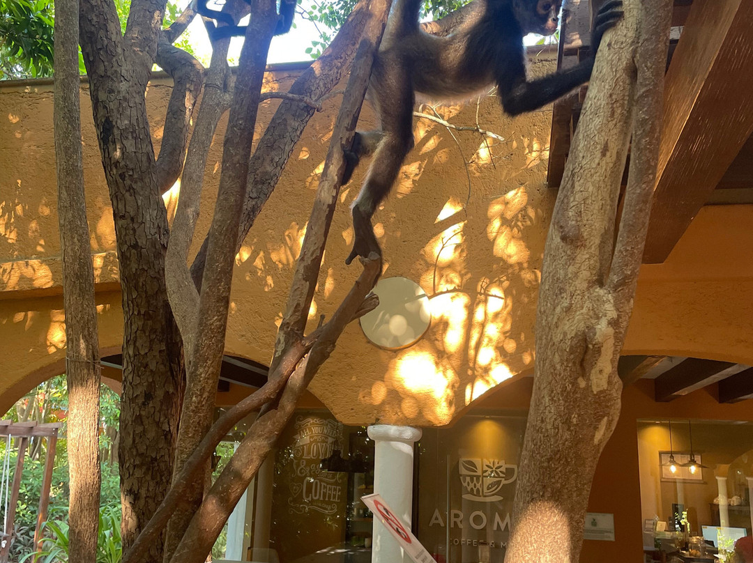 加泰罗尼亚普拉亚马洛玛酒店-全包式主图