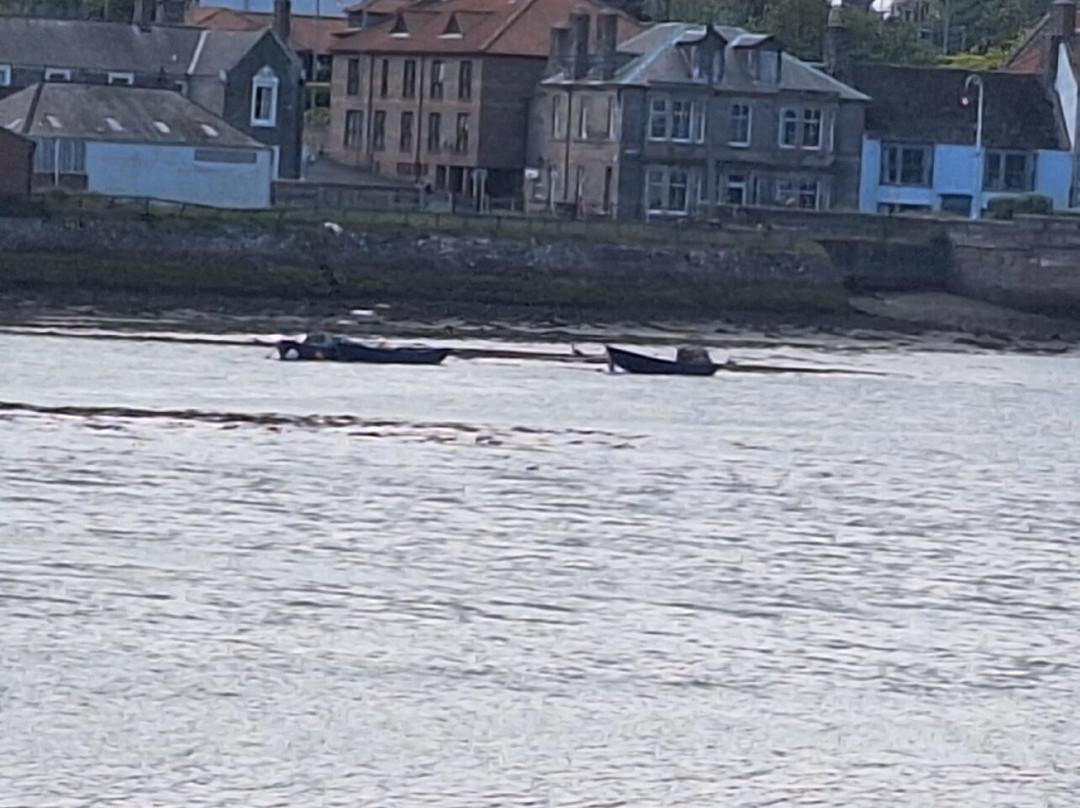 Berwick Boat Trips-特威德河畔贝里克必去景点
