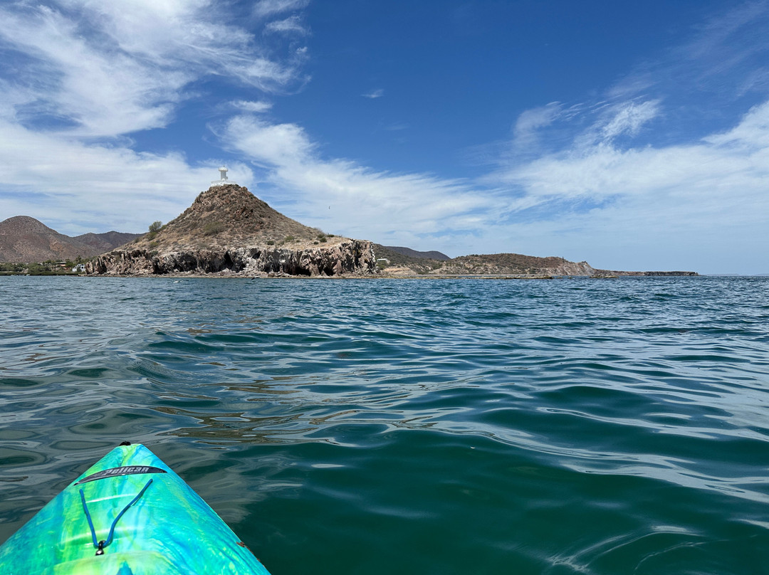 Mulege Madness