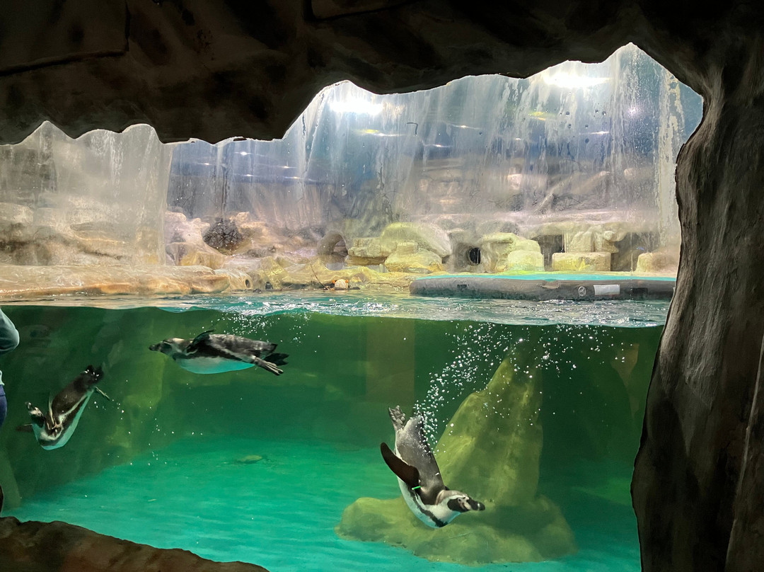 Tropicarium Park-Lido di Jesolo必去景点