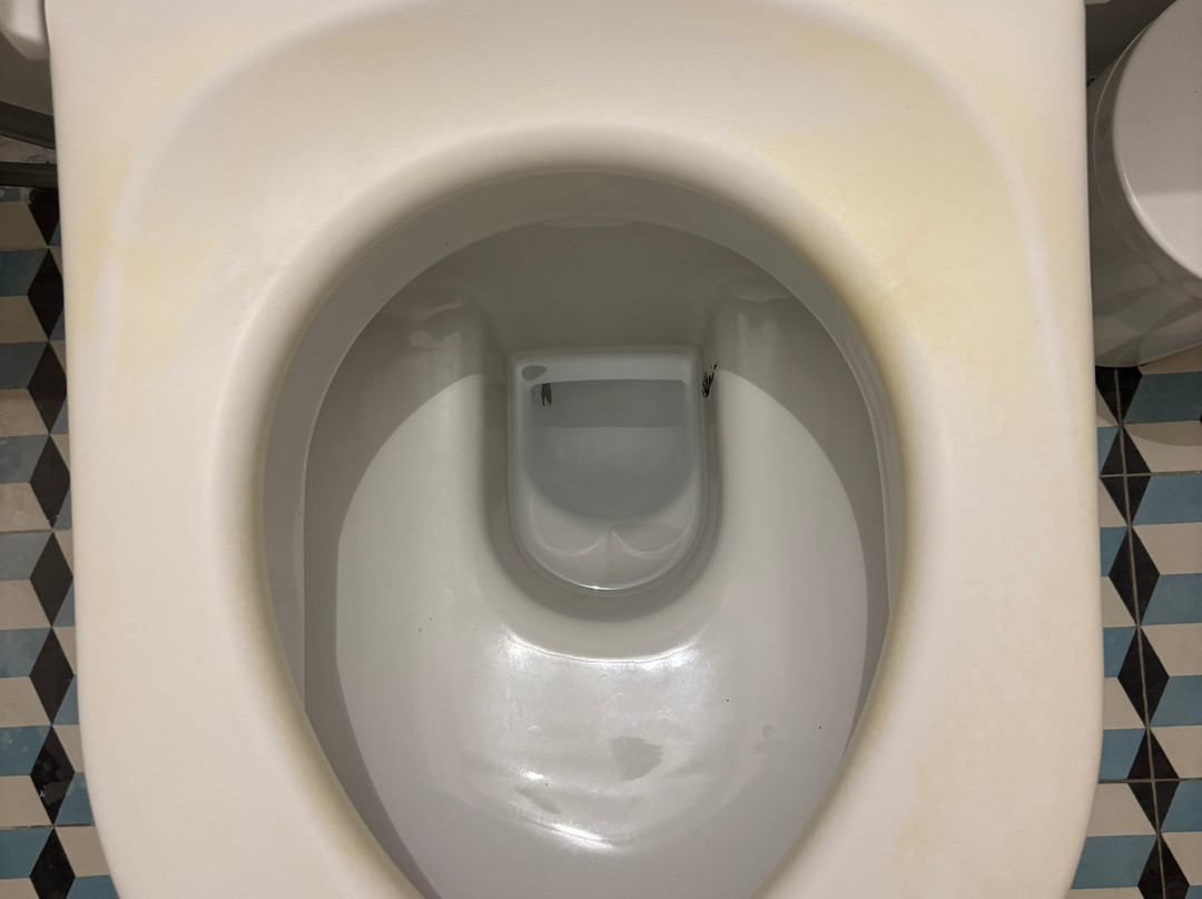 马斯青金石酒店主图