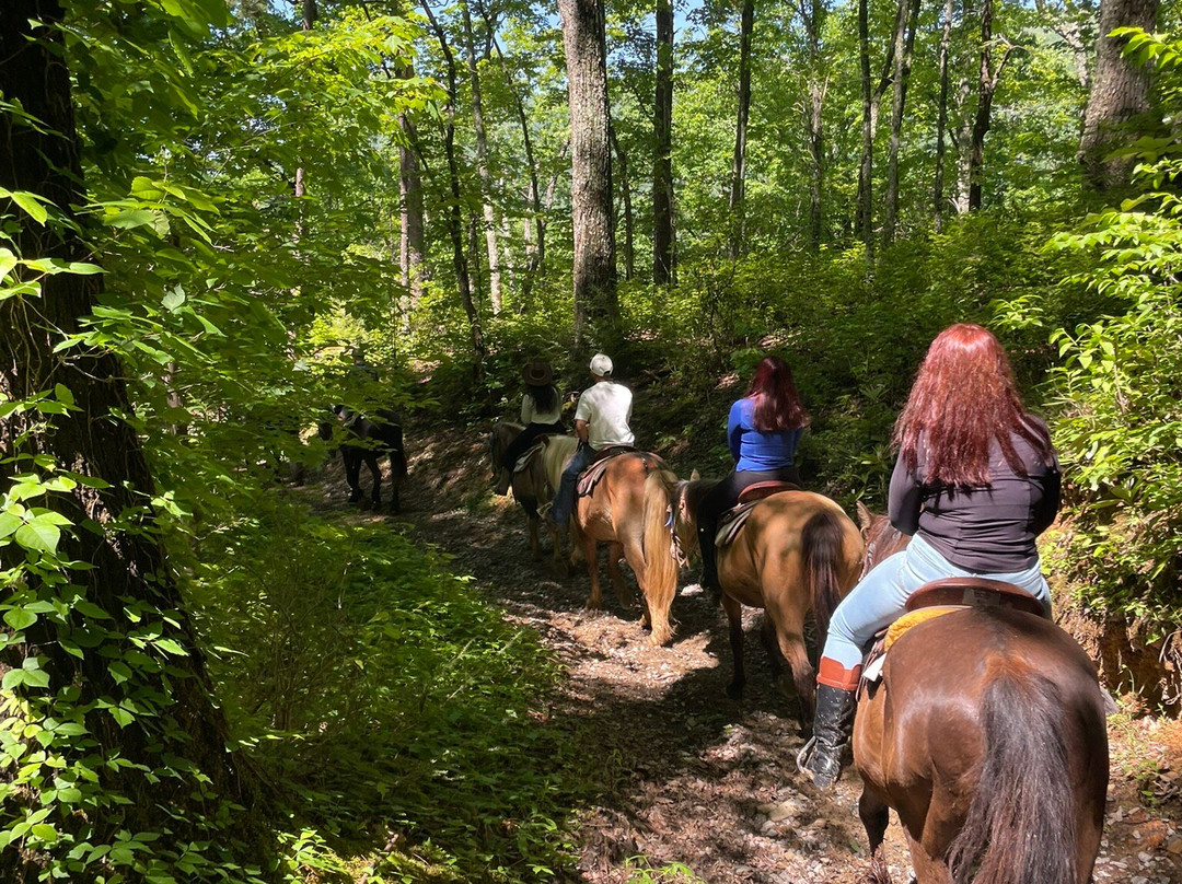 Sugarland Riding Stables-盖林柏格必去景点