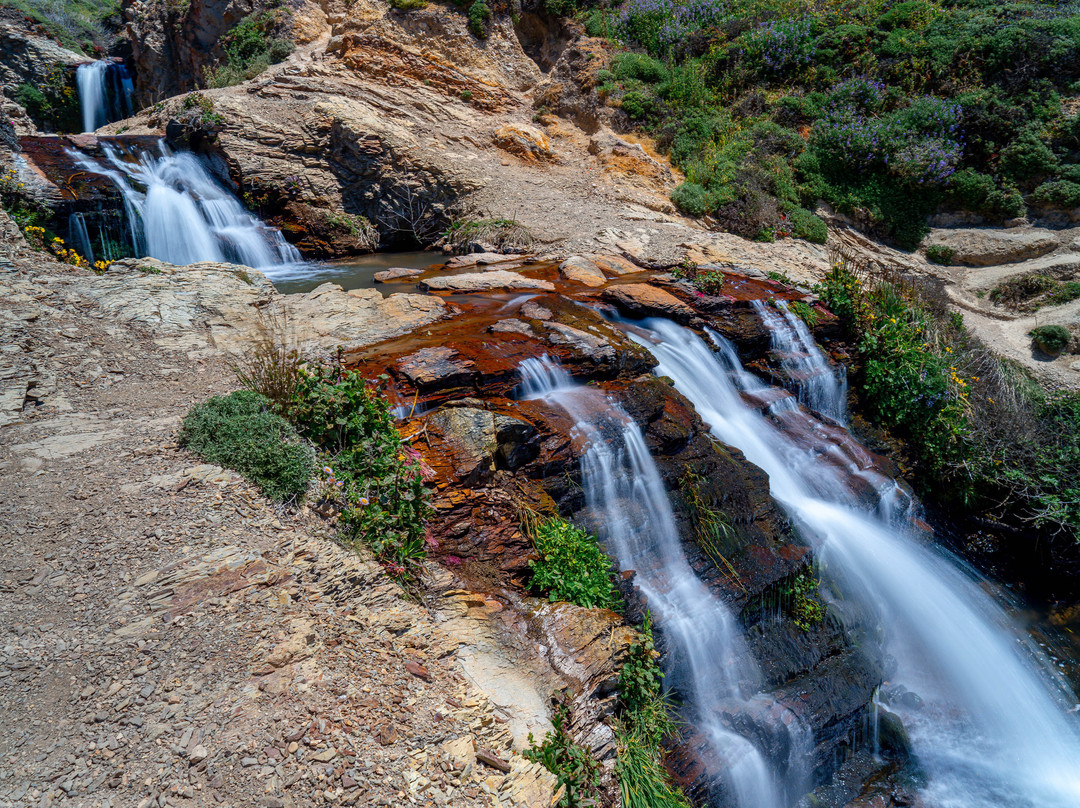 Alamere Falls-Bolinas必去景点