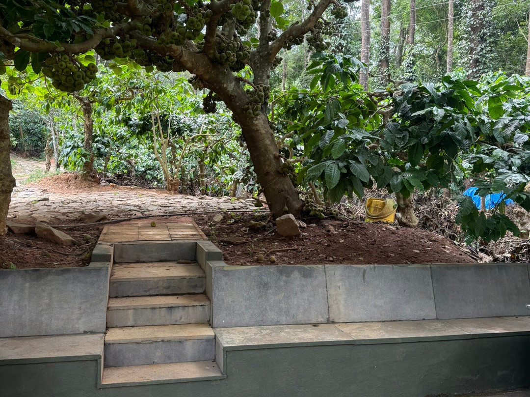 Natura Vista A Plantation Stay主图