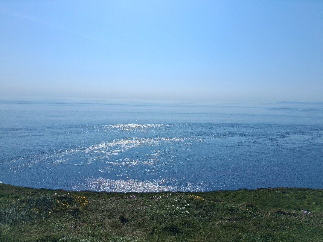 RSPB Mull of Galloway-Stranraer必去景点