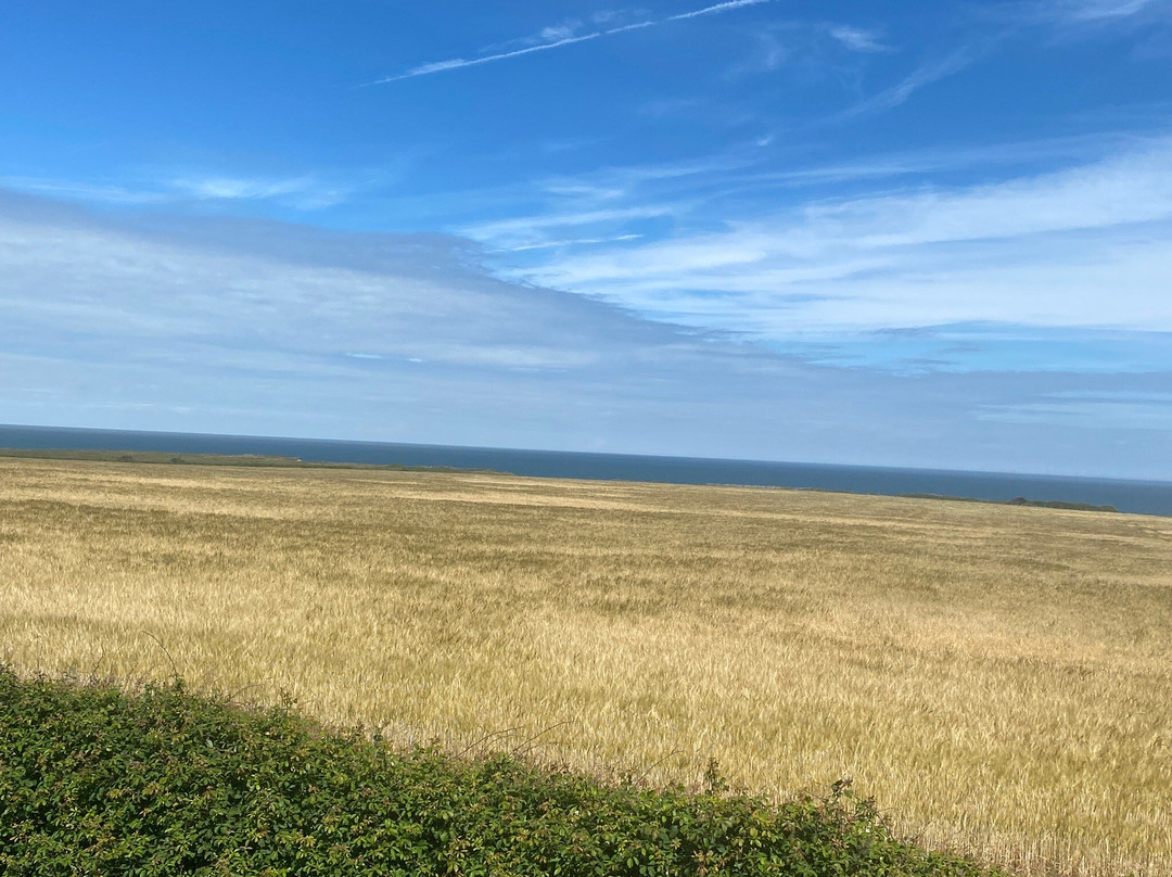 North Norfolk Railway-Sheringham必去景点