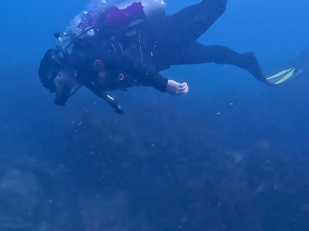 Buceo Quintay-Quintay必去景点