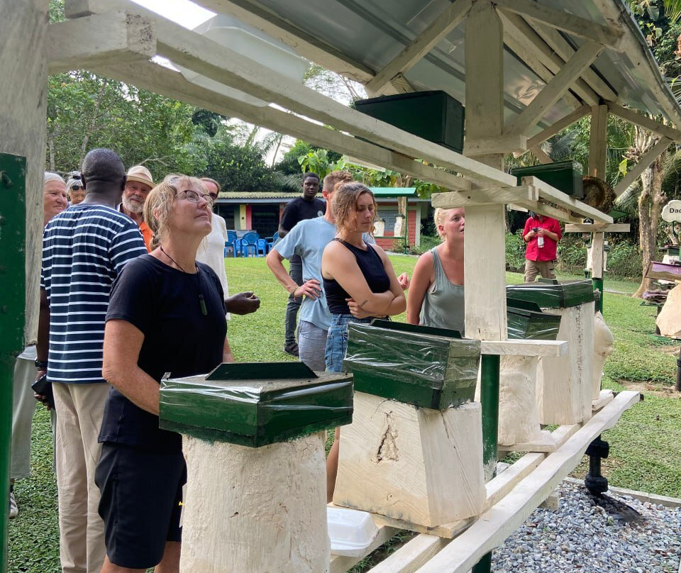 International Stingless Bee Centre-Cape Coast必去景点