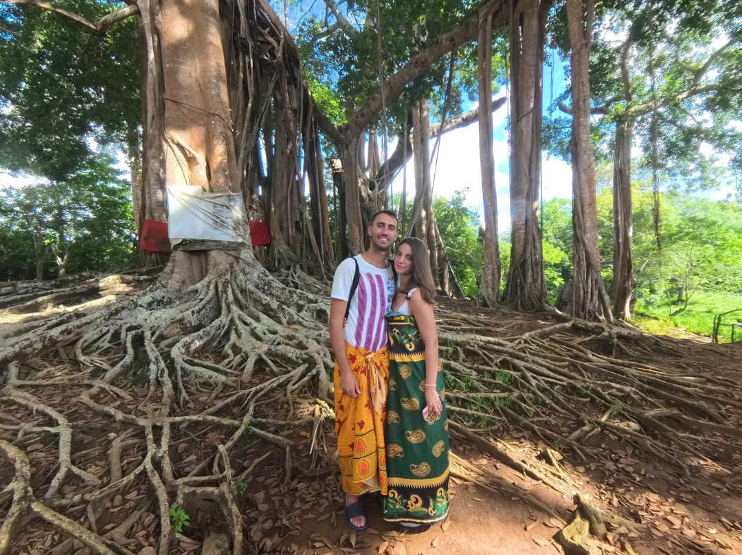 Madagascar Tour Severino-Dzamandzar必去景点