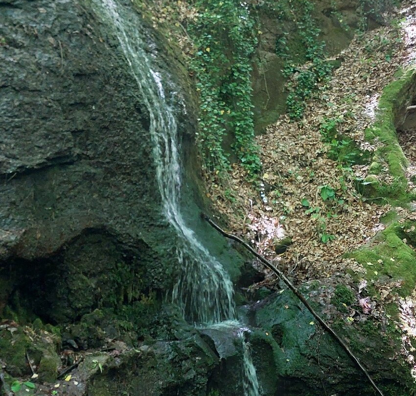 Parco Vivo Toscana-Vivo d'Orcia必去景点