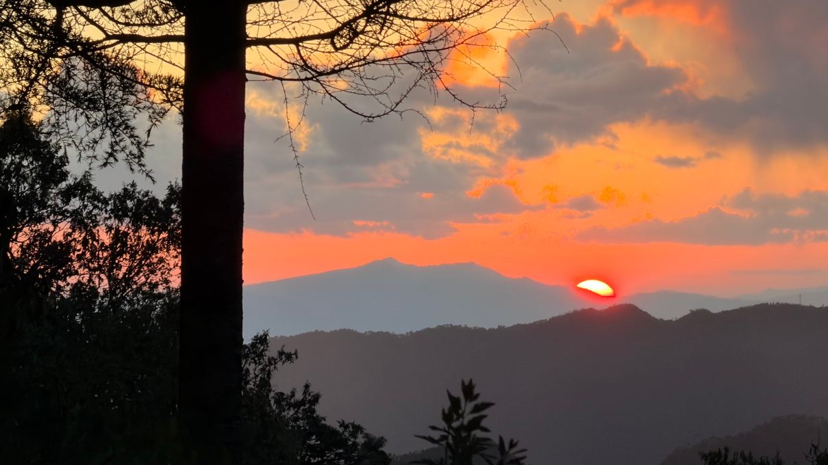Nine Furlongs, Binsar Wildlife Sanctuary-酒店景观
