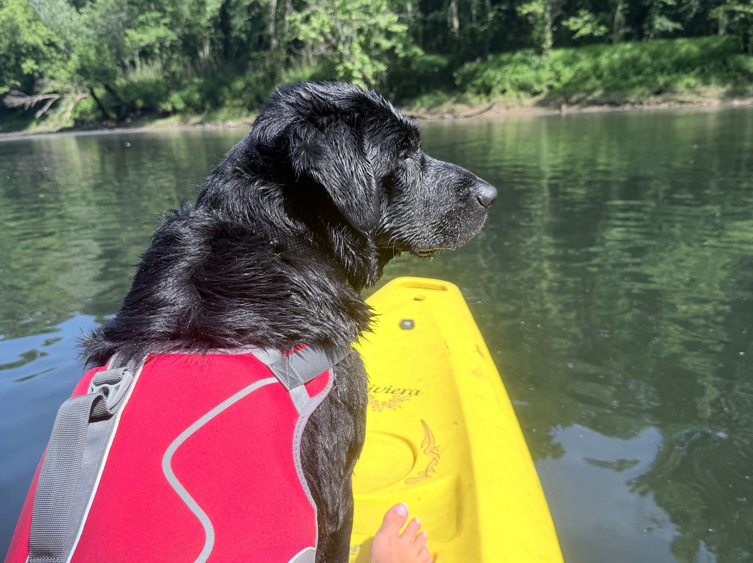 Canoe the Caney-Silver Point必去景点