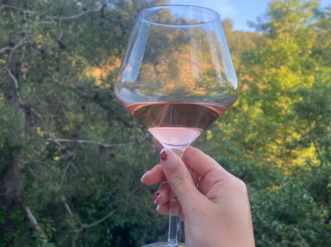 Lambouri Winery-帕拉翠斯必去景点