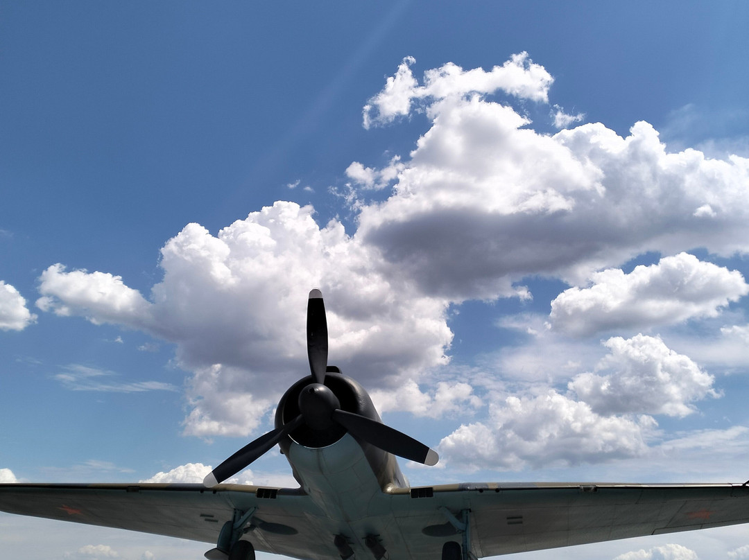 Airplane Su-2 Monument-伏尔加格勒必去景点